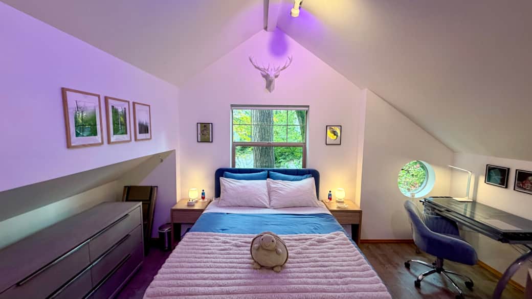 Bedroom includes a queen bed and sofa bed, dedicated workspace, 40” Roku TV, and ample storage.