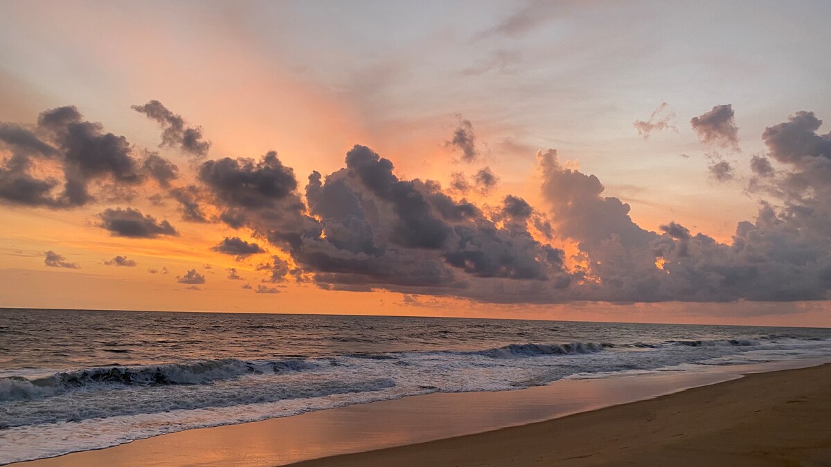 The Matsya House -Island Retreat, photo 24