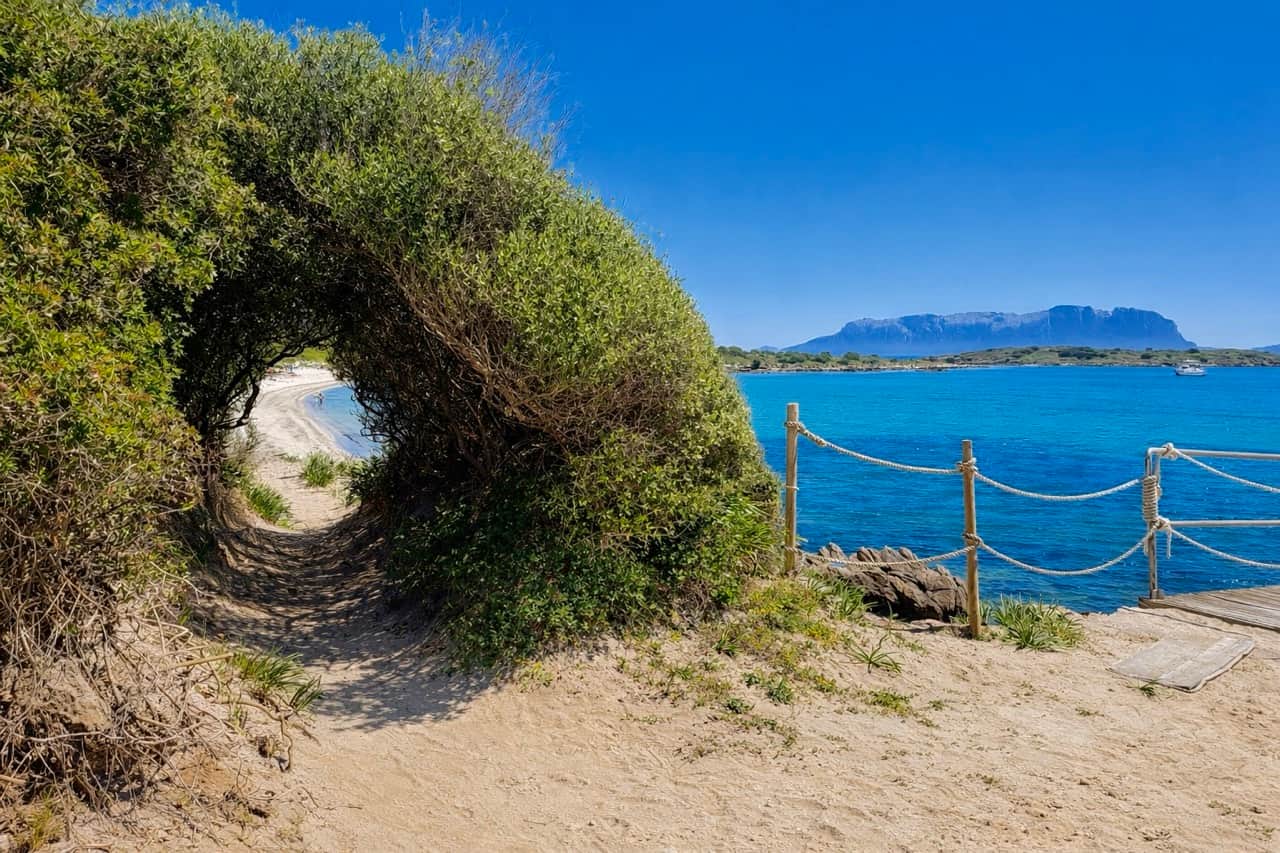 Pittulongu beach panoramic view — pale golden sand and shallow turquoise water, 8 km north of Olbia, Sardinia